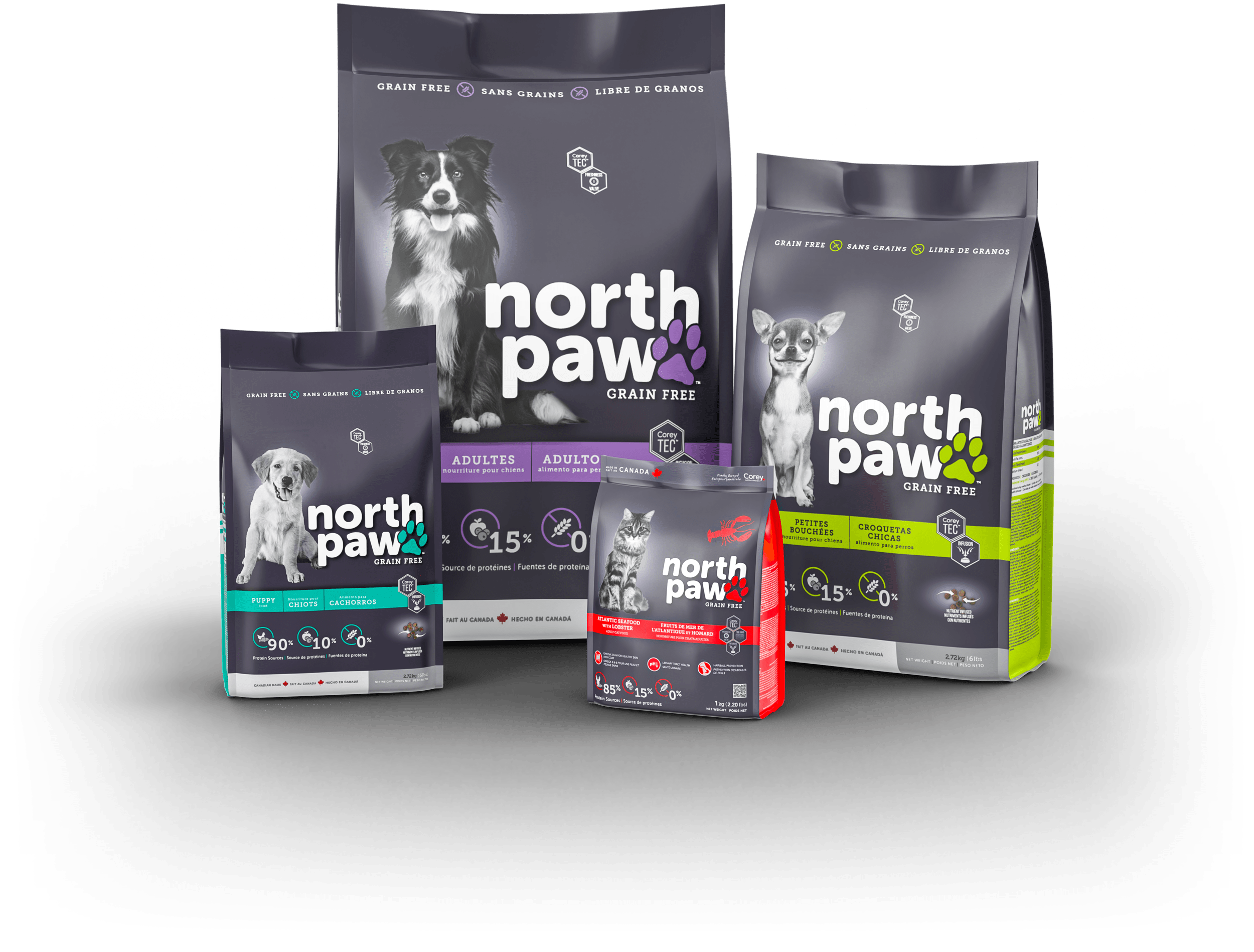 In just a few clicks, you'll create a stunning image to promote your brand. North Paw Grain Free